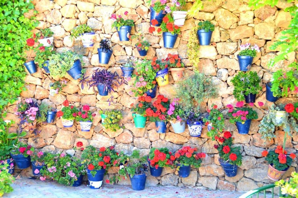 Casita Tranquila Villa Almería Buitenkant foto